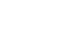 Onevision